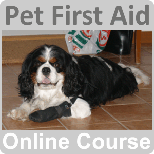 pet first aid